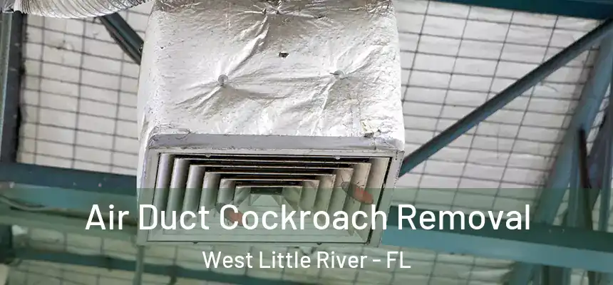 Air Duct Cockroach Removal West Little River - FL