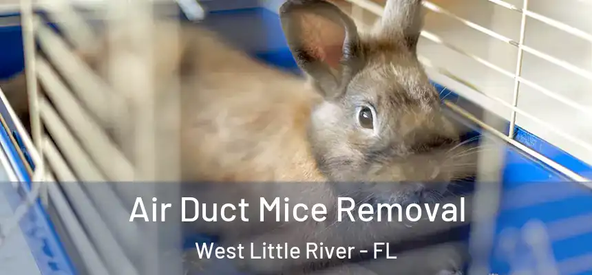 Air Duct Mice Removal West Little River - FL
