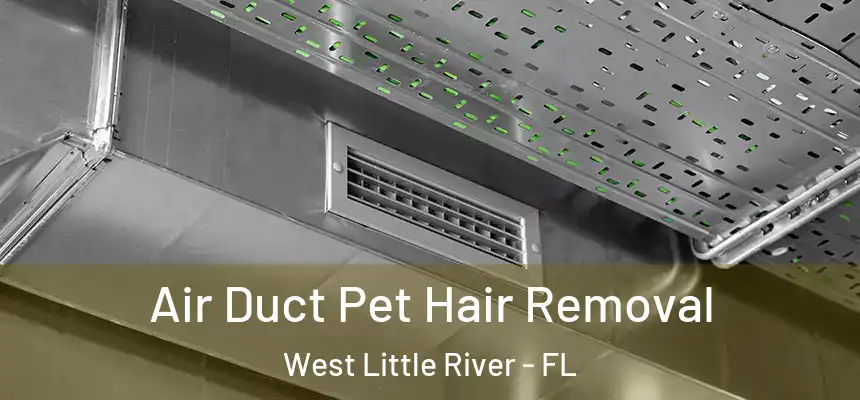 Air Duct Pet Hair Removal West Little River - FL