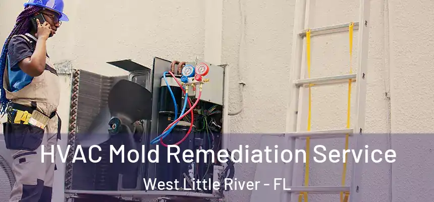 HVAC Mold Remediation Service West Little River - FL