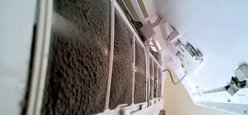 Preventive Air Duct Bacteria Removal in West Little River