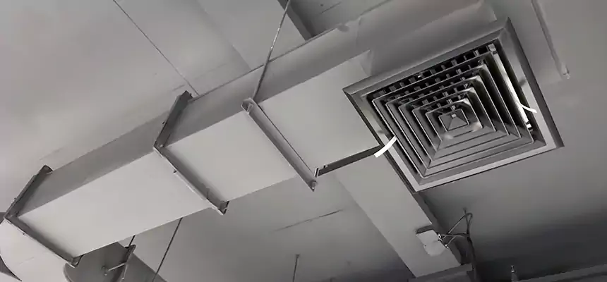 Restorative Allergy Relief Vent Cleaning – Coil, Blower & Housing Detail in West Little River