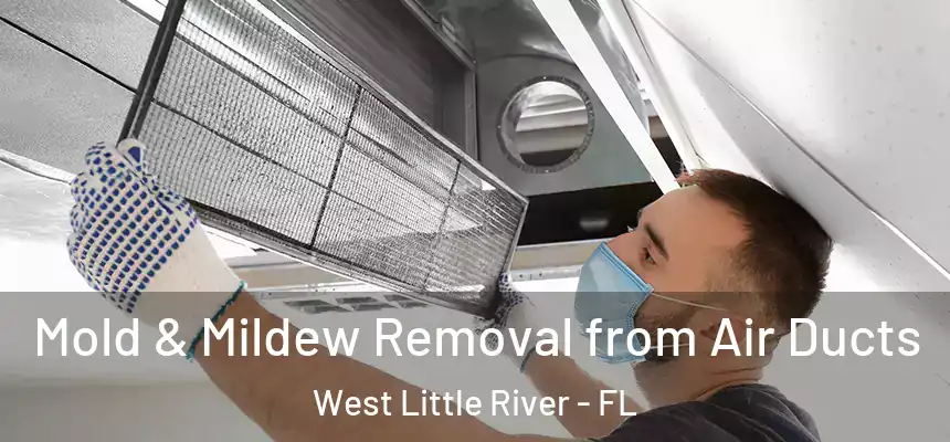 Mold & Mildew Removal from Air Ducts West Little River - FL