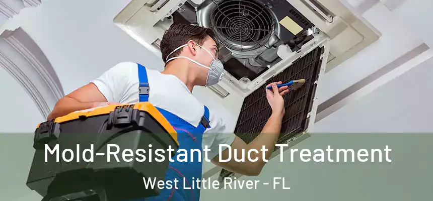 Mold-Resistant Duct Treatment West Little River - FL