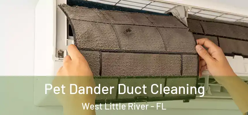 Pet Dander Duct Cleaning West Little River - FL
