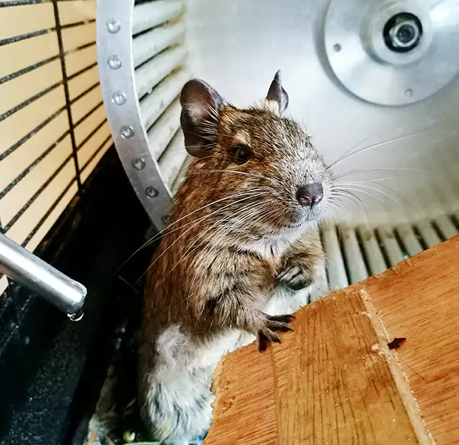 Why Homeowners & Businesses Trust Us West Little River, FL