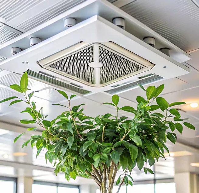 Why Homeowners & Businesses Trust Us in West Little River, FL